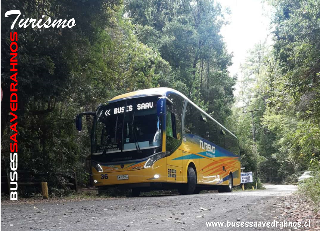 BusesSaavedraHnos-FJ-2