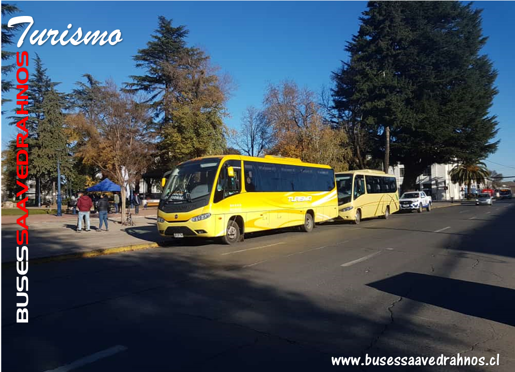 BusesSaavedraHnos-FJ-9
